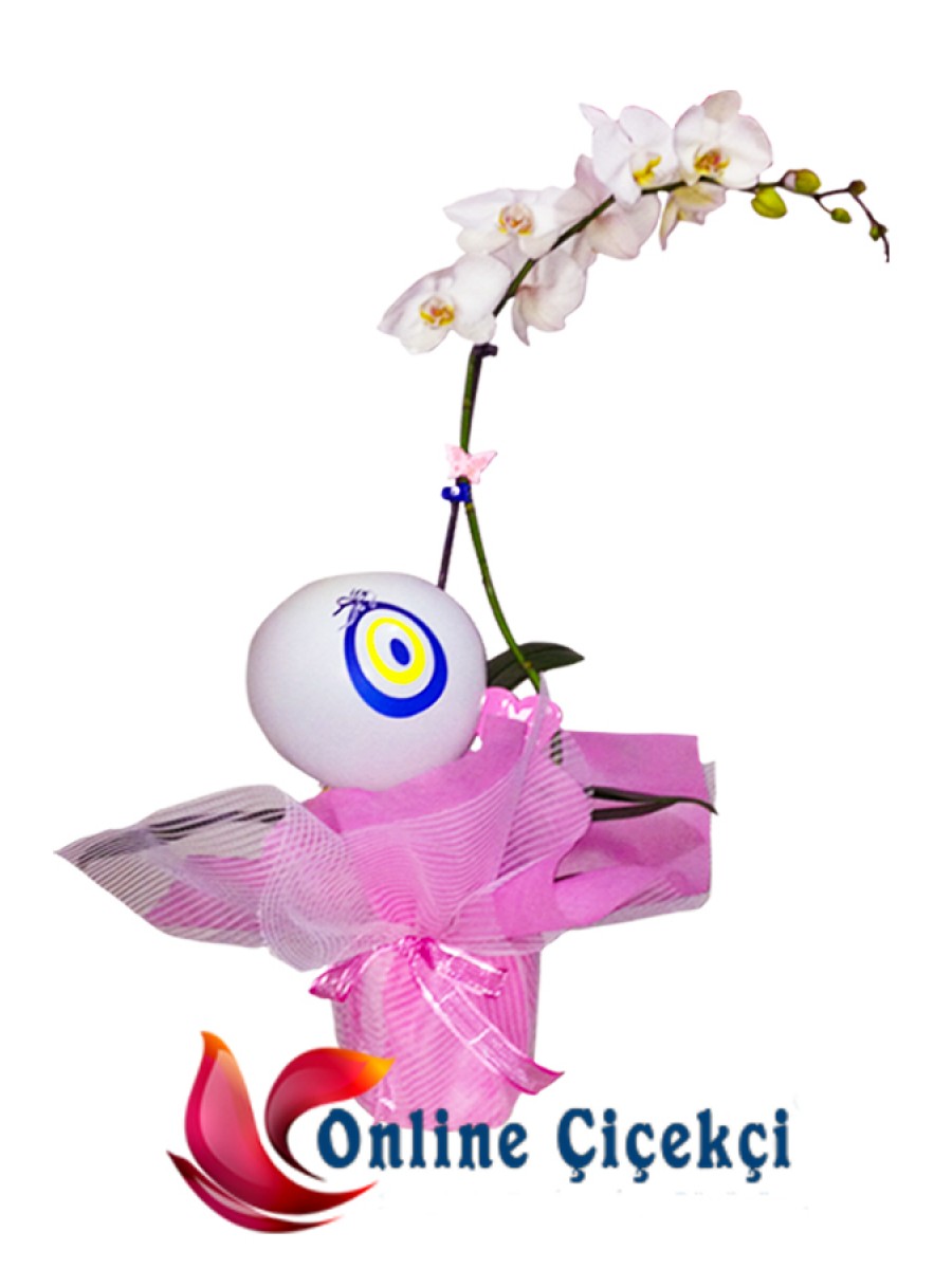 Kız Bebek Hediyesi Saksıda Orkide Online Çiçekçi